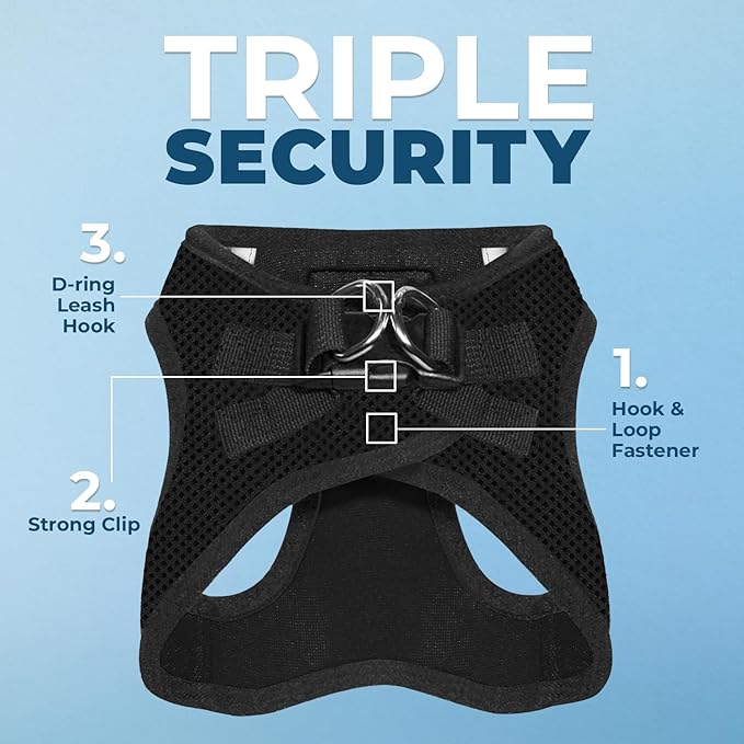 Voyager Step-in Air Cat Harness - All Weather Mesh Step in Vest Harness for Small and Medium Cats by Best Pet Supplies - Harness Leash Set (Black), XXS