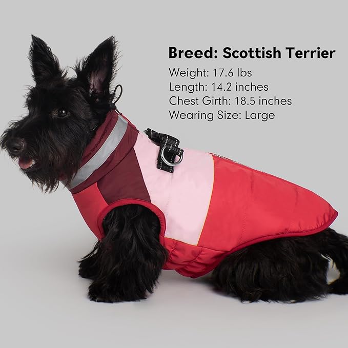 azuza Dog Jacket for Small Dogs Waterproof Dog Coat with Reflective Strips and Harness Built in Warm Fleece Dogs Winter Coat Windproof with Back Zipper, Red M