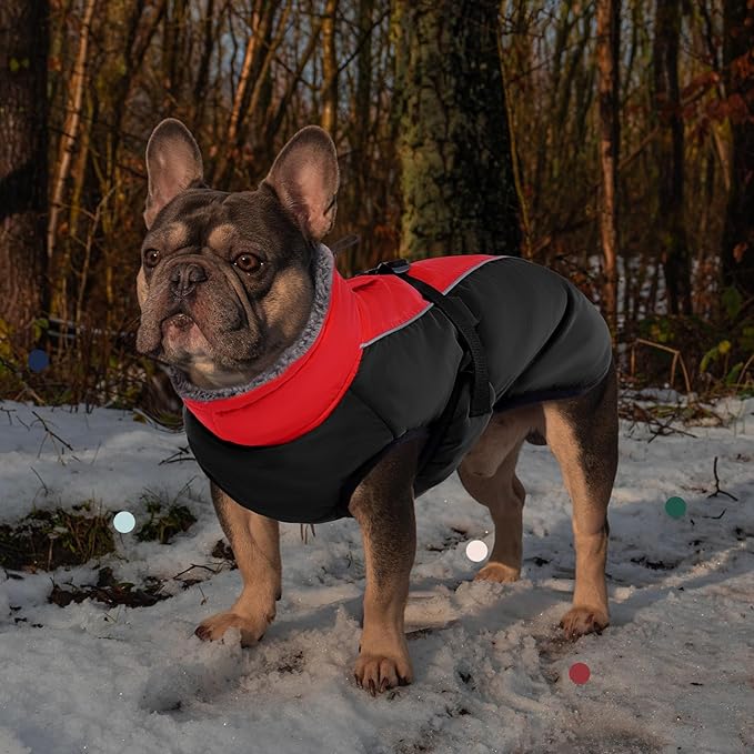 IECOii Extra Warm Dog Coat - Reflective, Adjustable Winter Jacket with Buckle & Fleece Turtleneck for Small to Extra Large Dogs