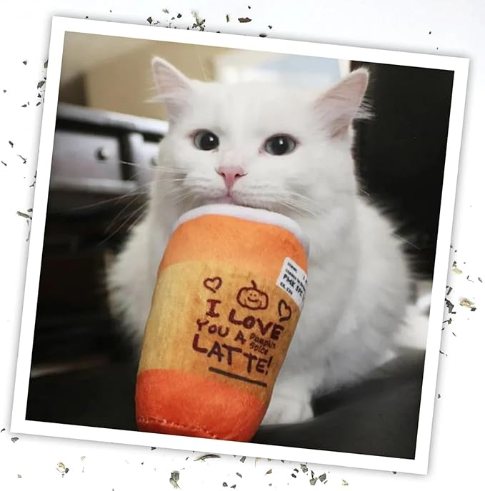 Meowijuana Refillable Cat Toys | Get Spooked - Pumpkin Spice Latte Catnip Toy | Includes Potent Hand Harvested Catnip Grown in North America | Promotes Play and Cat Health