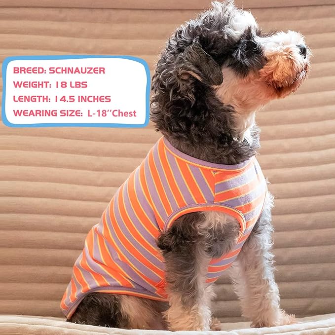 KYEESE 2Pack Dog Shirts Striped T Shirt Cotton Tank Top Soft Tee for Small Dogs Lightweight Clothes Sleeveless Dog Vest, Medium,Purple+Orange Striped