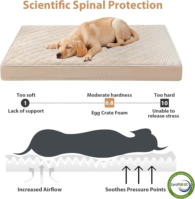 WNPETHOME Orthopedic Big Dog Beds Large Sized Dog, Waterproof Extra Large Dogs Bed with Removable Washable Cover, Multi-Needle Quilting Dogs Crate Bed