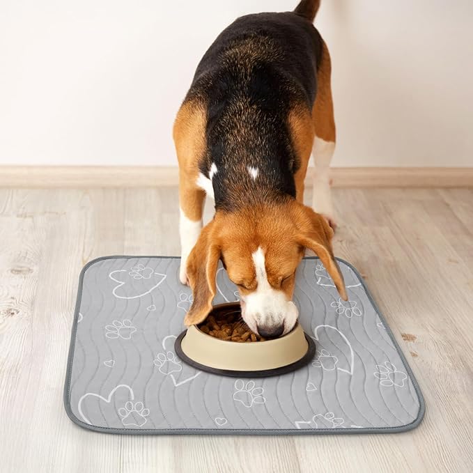 Washable Pee Pads for Dogs Reusable: 2 Pack Waterproof Puppy Pads Absorbent Quick Dry Training Pads - Non Slip Puppy Whelping Mats for Grate, Floor, Housebreak, Couch 18"x24"