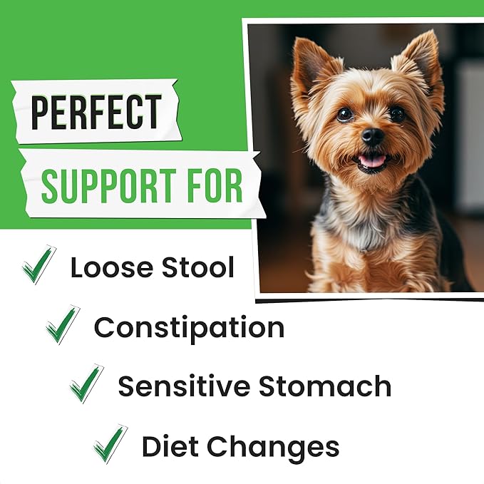 Pumpkin Powder for Dogs - 8oz Powdered Supplement High Fiber for Dogs Stool Softener - Treat Diarrhea, Constipation, Upset Stomach, Food Sensitivity - Improve Digestion - Made in USA