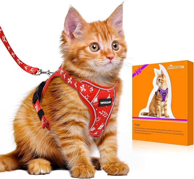 Halypet Cat Harness and Leash Set [MAX Safety 4th-Gen Upgrade] Escape Proof Adjustable Cat Leash Comfortable Soft Vest Easy to Wear Kitten Harness with Reflective Strip for Cats Walking, M Ruby Red