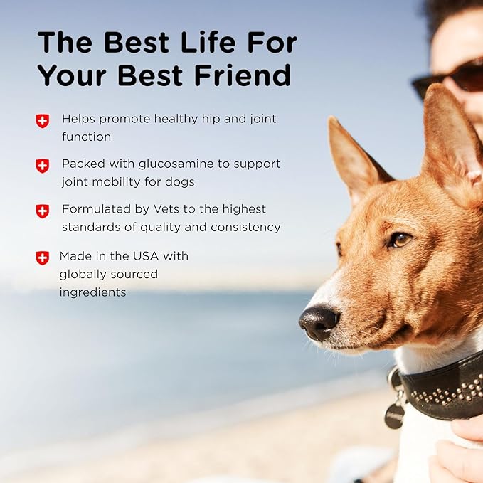 Nutri-Vet Hip & Joint Biscuits for Dogs, Tasty Glucosamine Treat, Puppy Supplements, Dog Joint Supplement, Small Sized Biscuit with 166mg Glucosamine, Puppy Essentials, 16 oz (Pack of 2)