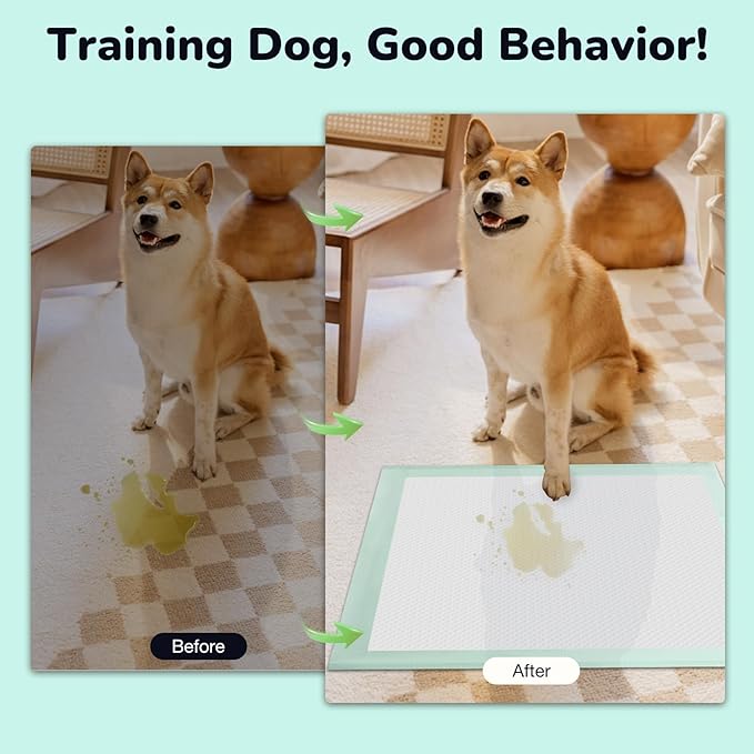 Puppy Pee Pads 100PCS Disposable Pet Toilet Training Pads 18" x 13" for Dogs, Ultra Absorbent|Quick Dry|Leak-Proof Pet Potty Pads for Dog, Cat, Rabbits and Guinea Pigs (Green)