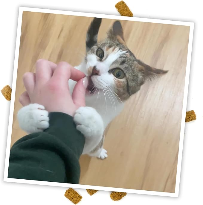 Meowijuana Crunchie Munchie Catnip Treats | Chicken | Made with Organic Catnip | Produced in The USA | Low Calorie Cat Snack