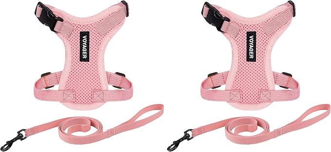 Voyager Step-in Lock Adjustable Cat Harness w. Cat Leash Combo Set with Neoprene Handle 5ft - Supports Small, Medium and Large Breed Cats by Best Pet Supplies - Pink, S (Pack of 2)