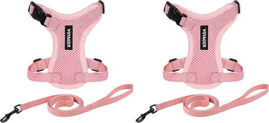 Voyager Step-in Lock Adjustable Cat Harness w. Cat Leash Combo Set with Neoprene Handle 5ft - Supports Small, Medium and Large Breed Cats by Best Pet Supplies - Pink, S (Pack of 2)