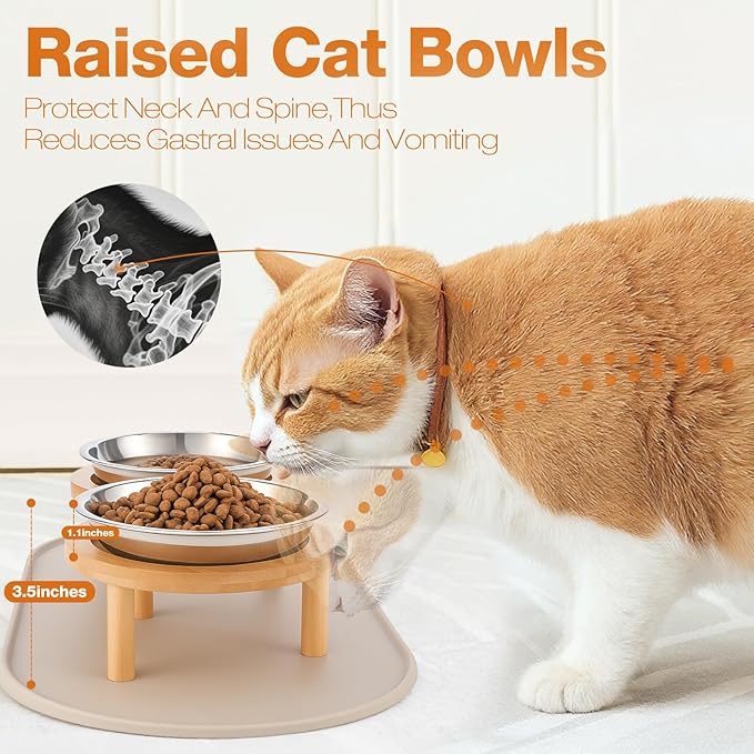 Stainless Steel Raised Cat Food Bowl for 2 Bowls, 6.3-Inch Replaceable Cat Bowl, Pack of 2