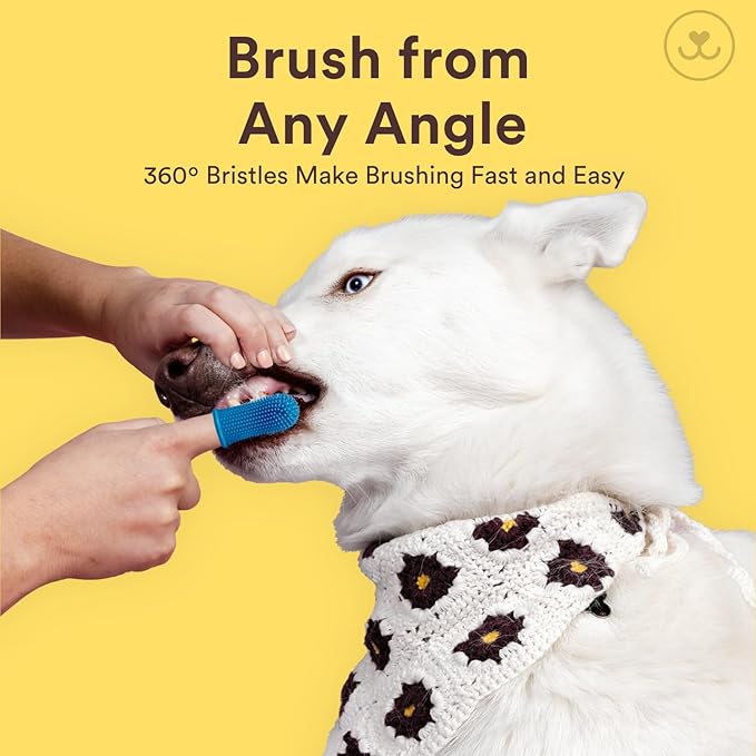 Jasper Large Dog Toothbrush, 360 Degree Pet Tooth Brushing Kit, Cat Toothbrush, Canine Dental Care & Teeth Cleaning Kit, Pet Finger Tooth Brush, Use with Dog Toothpaste, 2-Pack Navy-Blue Large