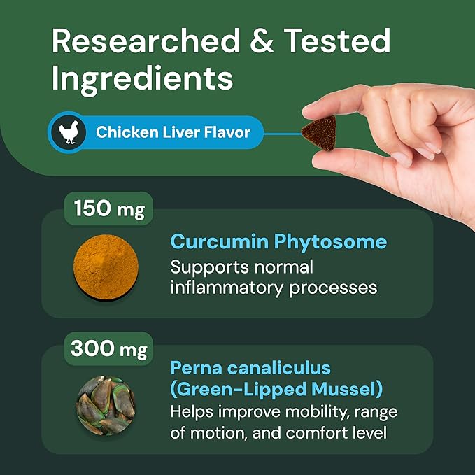 VETRISCIENCE Veterinary Strength Healthy Hip & Joint Chews - Joint Health Supplement for Dogs - Supports Mobility & Flexibility - 60 Count