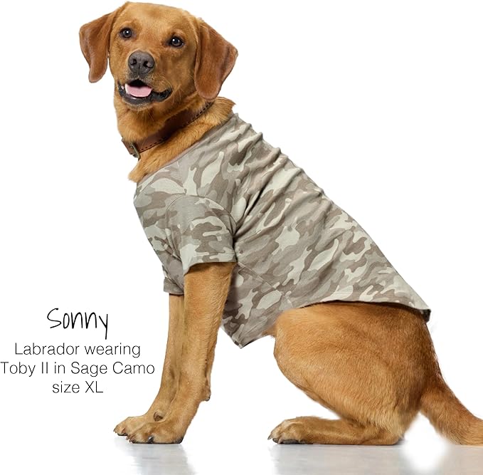 Toby II - The Perfect Tee, 3 Pack Short Sleeve Pet T-Shirt 100% Organic Cotton Tees Clothes for Small, Medium, Large Dogs, Sage Camo, XX-Large