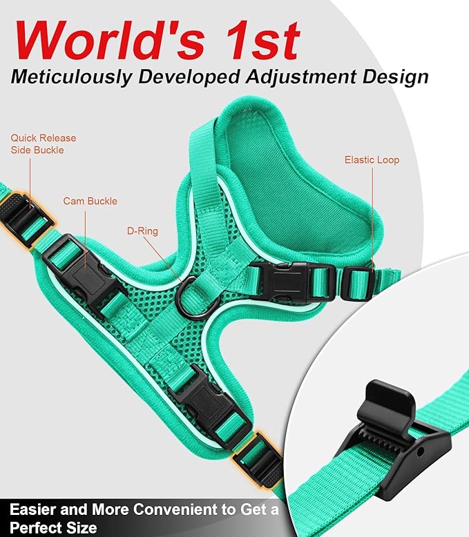 Cat Harness and Leash for Walking Escape Proof Soft Adjustable Cat Leash Breathable Comfortable Vest Easy to Wear Kitten Harness for Outdoor Travel Emerald M
