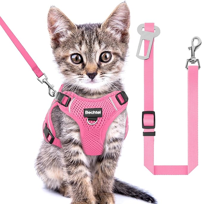 Kitten Harness and Leash Seat, The Upgrade Can be Adjusted in Four Directions and Breathable Cat Harness for Anti Escape That can be Fitted and Positioned, Reflective Strips Harness, Pink, XXS