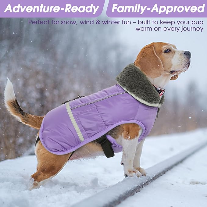 QBLEEV Warm Dog Coat Reflective Winter Jacket, Waterproof Windproof Dog Turtleneck Clothes for Cold Weather, Thicken Fleece Lining Pet Outfit, Adjustable Pet Vest Apparel for Small Medium Large Dogs