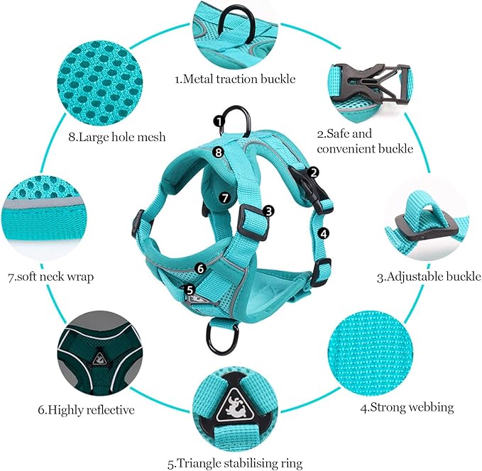 Wanheart Summer cat Chest Harness and Leash, Anti-Escape Adjustable Soft mesh cat Leash and Chest Harness Set for All Types of Cats cat Vests (Emerald, S)