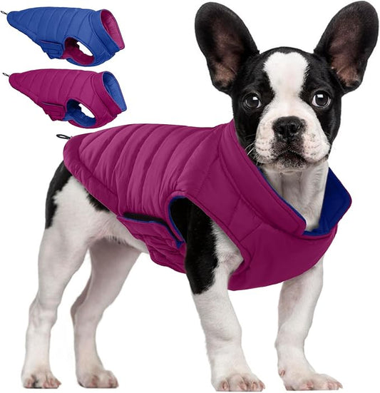 QBLEEV Reversible Dog Coat, Waterproof Winter Puffer Jacket with Leash Hole, Warm Dog Snow Gear for Medium Dogs Cold Weather, Adjustable French Bulldog Padded Vest for Outdoor Walks, Violet, L