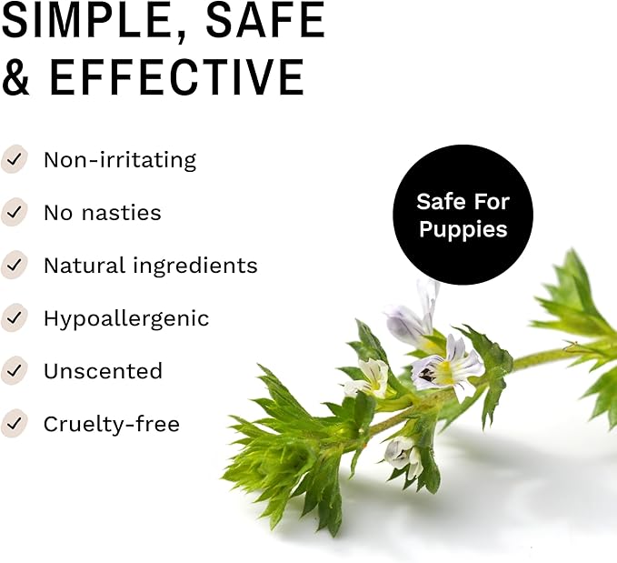 Eye Envy Bulldog Wrinkle Cleaner & Nose Care Kit. Bulldog Wrinkle Wipes, Tear Stain Powder, Applicator Brush & Dog Nose Balm. Cleans Skin Folds. Removes Stains. Helps Cracked Noses. Made in USA