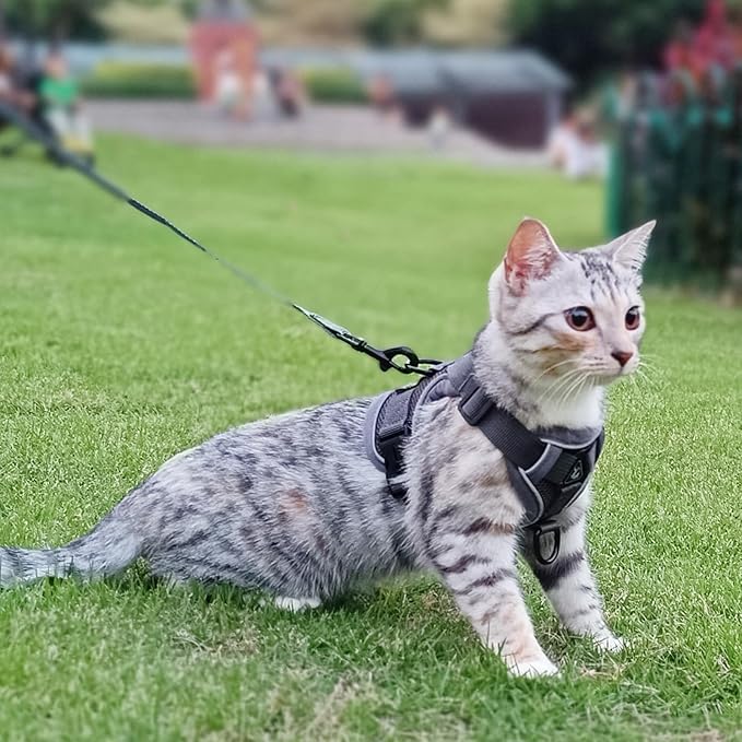 Cat Harness and Leash Set Escape Proof Tactical Extra Large Kitten Harness Emotional Support Cat Vest, Grey, XXL