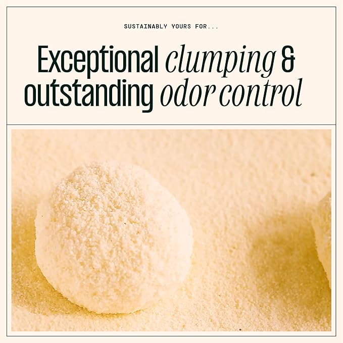 Cat Litter, Small-Grain Formula 10 lbs