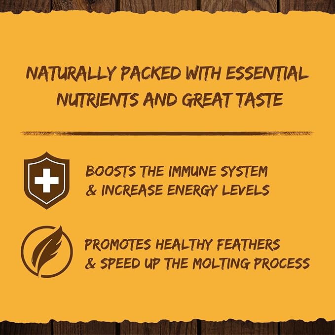 Dried Black Soldier Fly Larvae for Chickens, Natural Healthy Chicken Treats for Backyard Poultry - 10 lb. Bag