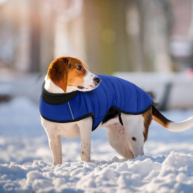 IDOMIK Dog Winter Coat, Warm Waterproof Dog Puffer Jacket with Harness Hole, Adjustable Reflective Snow Jacket Vest with Turtleneck, Pet Cold Weather Coats for Large Dogs,Blue,2XL