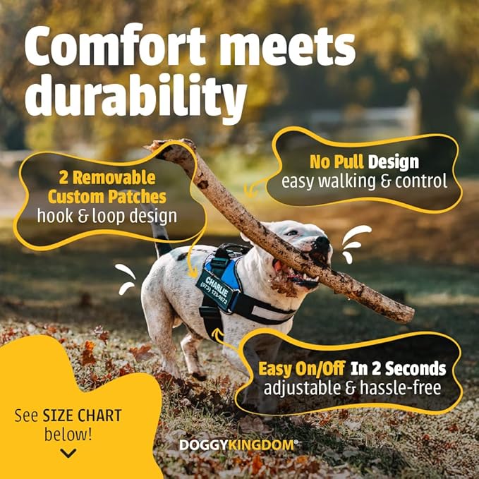 Personalized No-Pull Dog Harness with Name Patch, Adjustable, Reflective, Padded, Heavy Duty Pet Vest to Prevent Tugging, Pulling, or Choking, Training and Walking, Motorsport, S