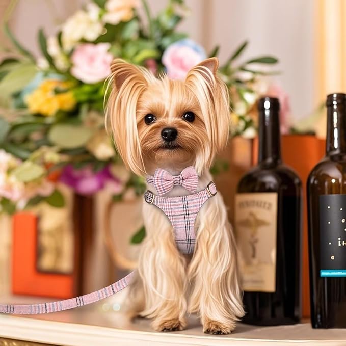 Beirui Cute Extra Small Dog Harness Collar and Leash Set with Bowtie, Soft Adjustable Plaid Puppy Harness for Small Sized Dogs Cats Walks Parties and Photoshoots(Pink,XXS:Chest 12-14")