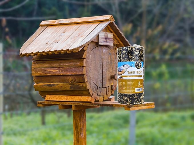 Birdseed Cylinders with Hole - Bird Seed for Outside Wild Birds (Small Cylinder, Tweet Treats 4pc)