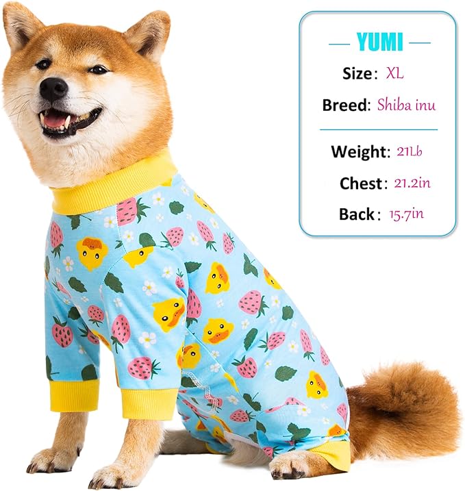 Dog Recovery Suit for Small Medium Large Dogs, Pet Onesie After Surgery Comfort Dog Bodysuit Anti Licking (4X-Large, Blue)