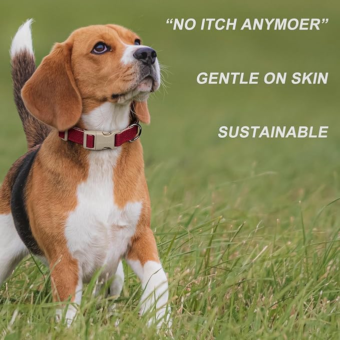 Plutus Pet Cotton Hemp Dog Collar and Leash Set, Adjustable Collar for Small, Medium, and Large Dogs, Heavy Duty and Soft on Skin, Red, XS