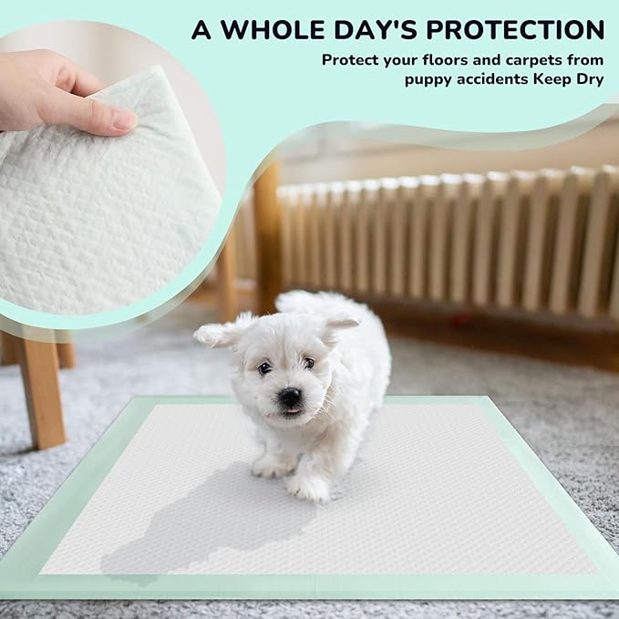 Puppy Pee Pads 100PCS Disposable Pet Toilet Training Pads 18" x 13" for Dogs, Ultra Absorbent|Quick Dry|Leak-Proof Pet Potty Pads for Dog, Cat, Rabbits and Guinea Pigs (Green)