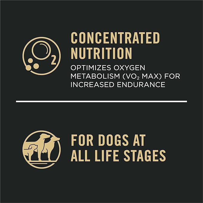 Purina Pro Plan High Protein Dog Food, Sport 30/20 Salmon and Rice Dog Food Dry Formula - 6 lb. Bag