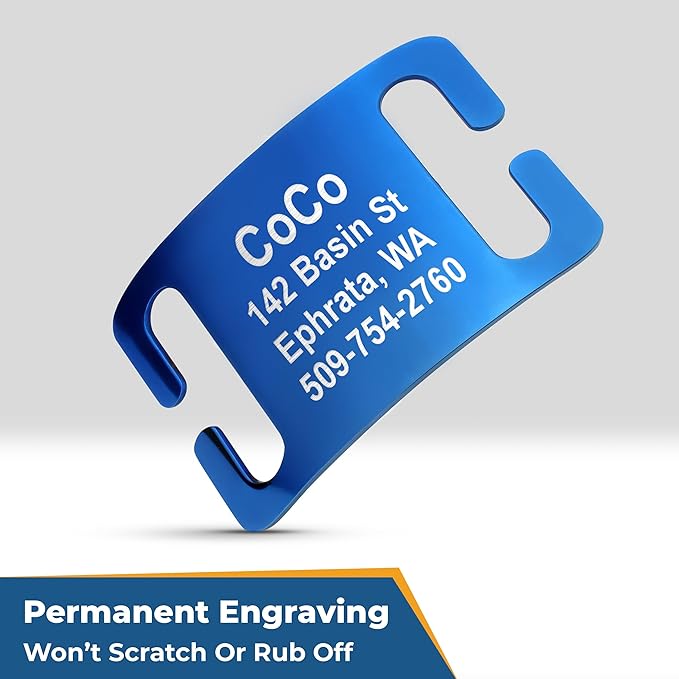 GoTags Personalized Dog Collar with Nameplate, Adjustable Dog Collar with Custom Engraved Slide On Pet ID Tag in Stainless Steel, Silent, No Noise Dog Tag for Large Medium and Small (Blue, Medium)