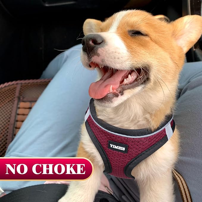 YIMEIS Dog Harness and Leash Set, No Pull Soft Mesh Pet Harness, Reflective Adjustable Puppy Vest for Small Medium Large Dogs, Cats (Grape Purple, Small (Pack of 1)