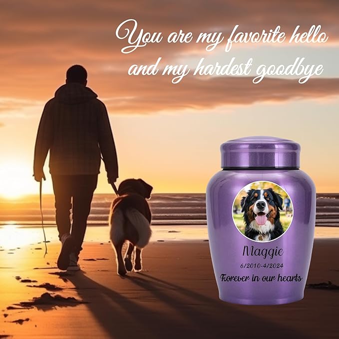 Personalized Cremation Urns for Pet Ashes, Custom Pet Name and Photo for Memorials Urns, 8.6 Inches Large Pet Urns for Dogs and Cats Ashes (Round)