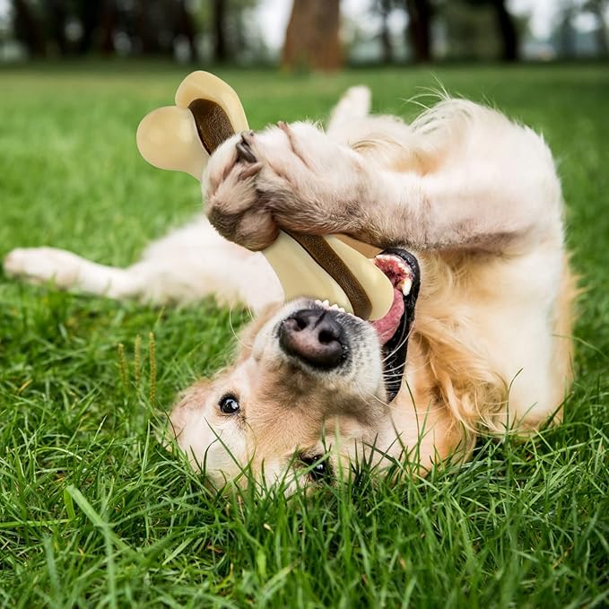 Sosation Bones Shaped Dog Toys for Aggressive Chewers, 2 Pack Dog Chew Toys Puppy Teething Nylon Beef Flavor for Large/Medium/Small Puppies Breeds(Hind Leg Bone,Large, Small)
