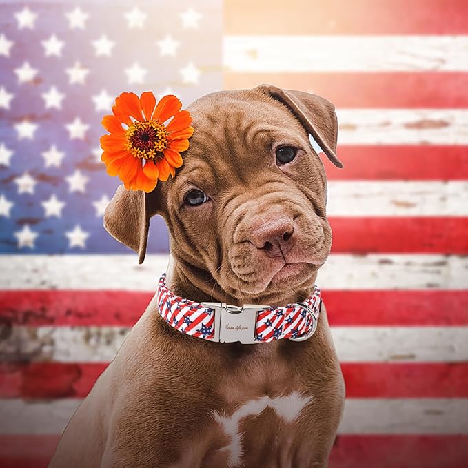 Unique style paws Independence Day Dog Collar Metal Buckle Striped Star Collar Gift Durable Cute Collar for Small Medium Large Boys Girls Dogs
