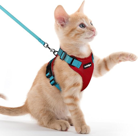 rabbitgoo Cat Harness and Leash for Walking, Escape Proof Soft Adjustable Vest Harnesses for Cats, Easy Control Breathable Reflective Strips Jacket, Red & Teal, XXS