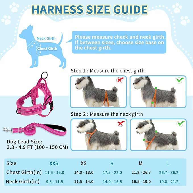 SlowTon No Pull Small Dog Harness and Leash Set, Puppy Soft Vest Harness Neck & Chest Adjustable, Reflective Lightweight Harness & Anti-Twist Pet Lead Combo for Small Medium Dogs (Fuchsia, S)