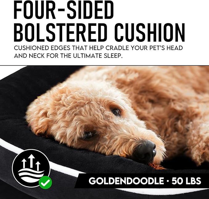 OhGeni Orthopedic Jumbo Dog Couch Pet Sofa XL Sized Cat Beds with Comfort Foam Support, Soft Comfortable Fabric, Machine Washable Waterproof Removable Cover, 42-Inch (Black)