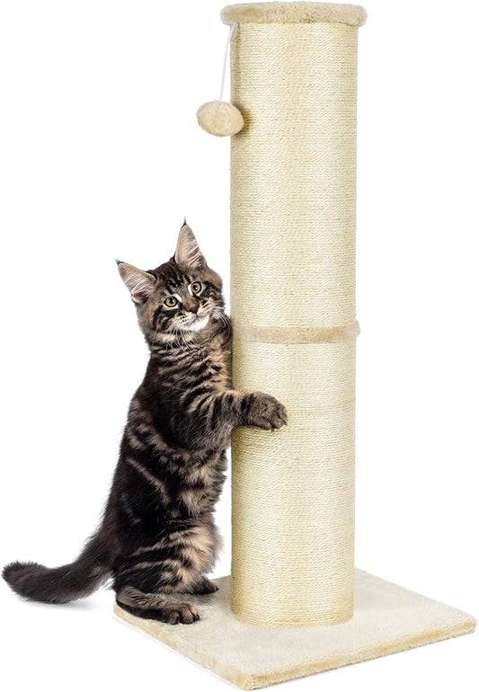 PAWSCRAT Cat Scratching Post 32 Inch High, 5.5 Inch Large Diameter Natural Sisal Cat Scratch Post, Scratch-Resistant and Durable Tall Cat Scratcher for Indoor Cats, Protect Your Furniture, Beige