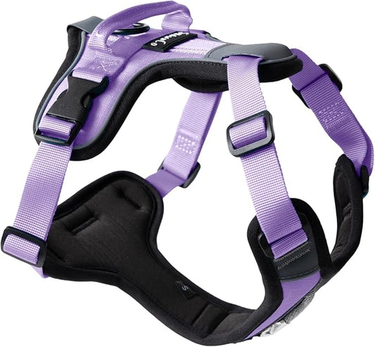 ShawnCo Basecamp Dog Harness, No-Pull Pet Vest with 3 Leash Clips, Padded, Reflective, Lightweight and Adjustable Harness with Handle for Small, Medium and Large Dogs (ICY Lilac, S)