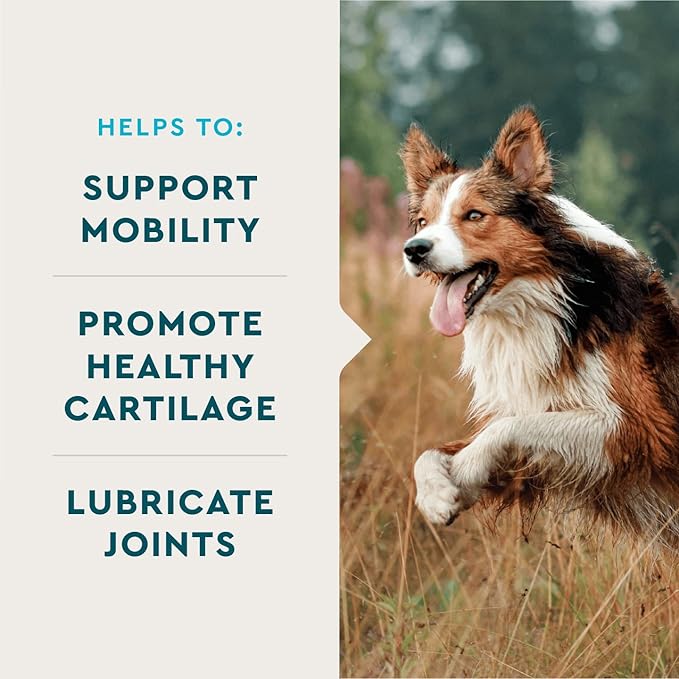 VetIQ Hip & Joint Health Supplement for Dogs, with Glucosamine, Chondroitin & MSM, Chewable Tablets for Dogs, Chicken Flavor, 60 Count