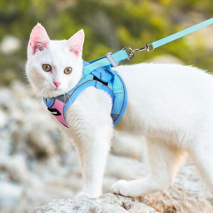 Dooradar Cat Harness and Leash Set, Escape Proof Lightweight Kitten Harness, Soft Breathable Reflective Vest for Outdoor Walking Traveling, Adjustable for Medium Cats, Pink & Blue, M