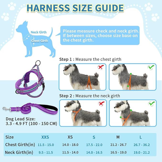 SlowTon No Pull Small Dog Harness and Leash Set, Puppy Soft Vest Harness Neck & Chest Adjustable, Reflective Lightweight & Anti-Twist Pet Lead Combo for Small Medium Dogs (PU-Front Clip, M)