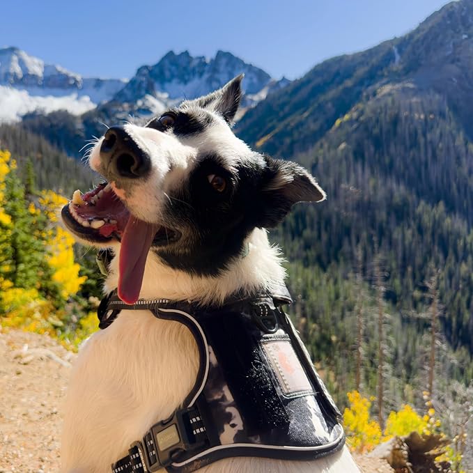 AUROTH Tactical Dog Harness for Small Medium Large Dogs No Pull Adjustable Pet Harness Reflective K9 Working Training Easy Control Pet Vest Military Service Dog Harnesses (S, Black Ink)