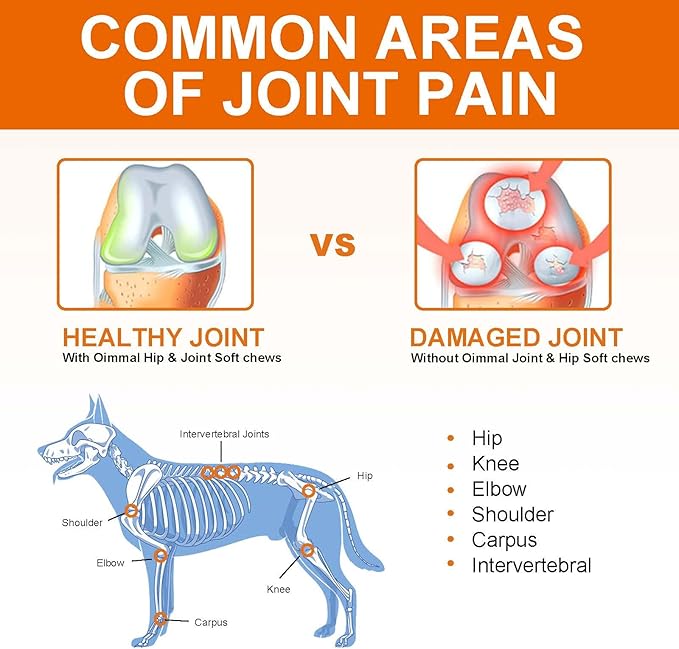 Glucosamine for Dogs - Hip & Joint Supplement (150 Tablets, 13.2 oz) - Chews with Chondroitin, MSM & Hemp Oil for Arthritis Relief & Enhanced Mobility for All Breeds